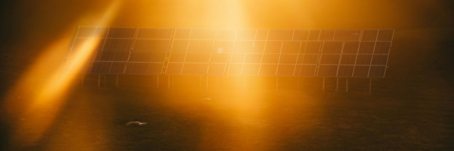 Community Solar