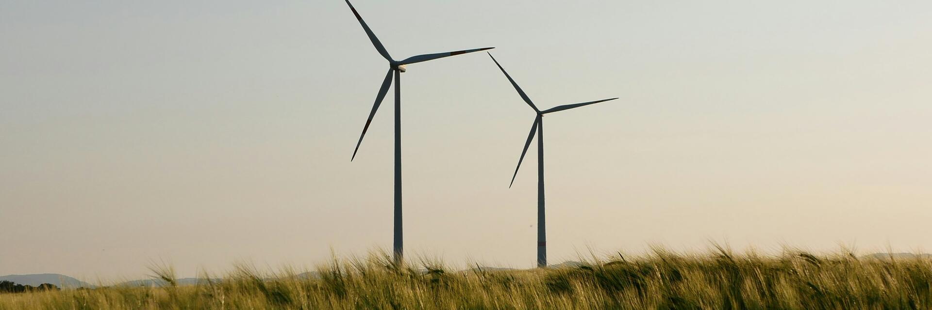 The Next Phase of the Renewable Energy Market: Competing on Economics Rather than Incentives