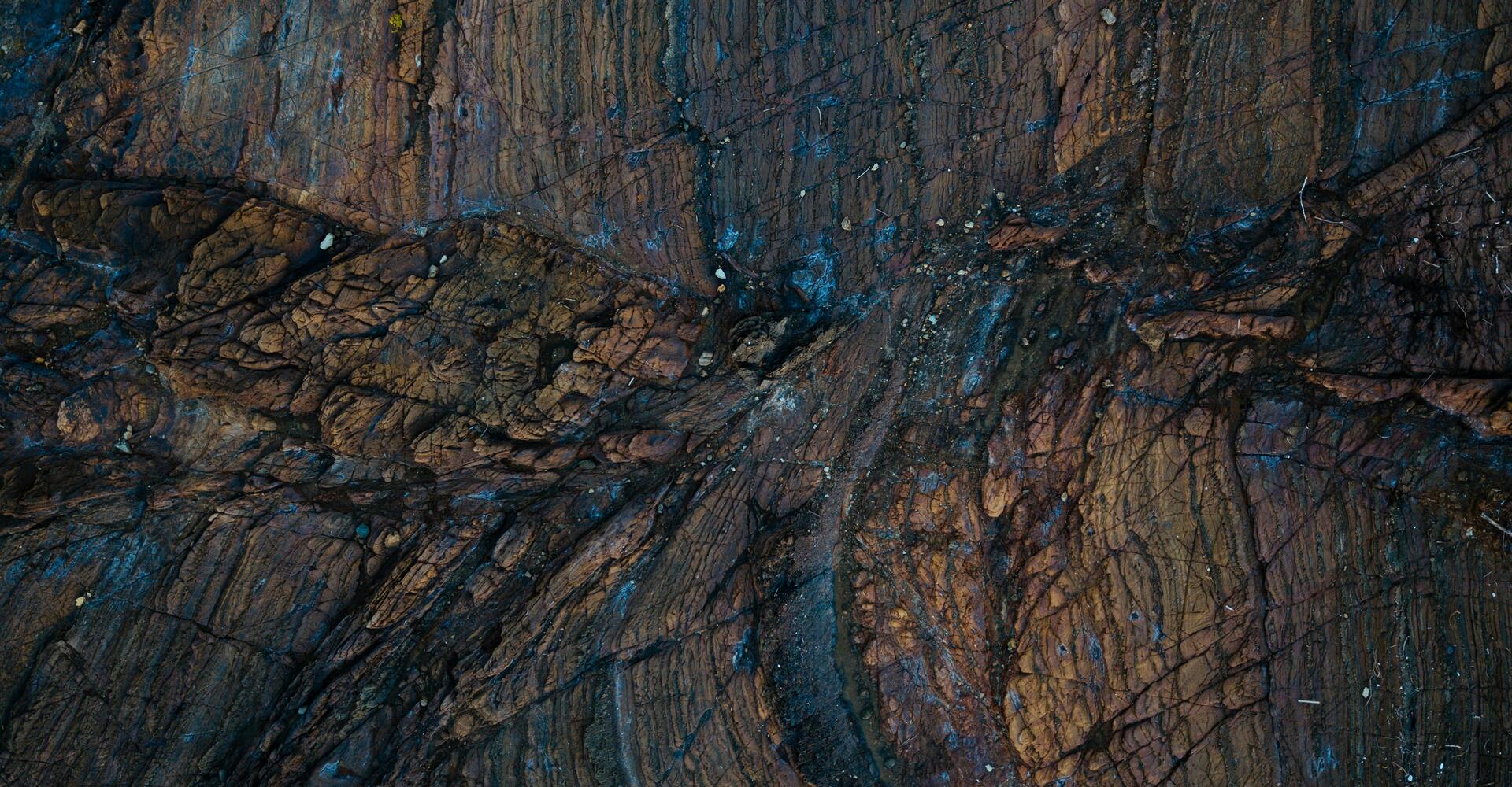 Why Efficiency Can’t Wait: Data-Driven Strategies to Reduce Energy Costs and Accelerate Decarbonization