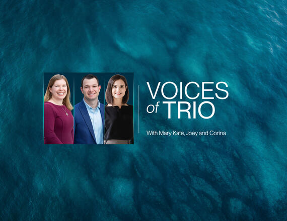 Voices of Trio - Transform Auto: Accelerating Renewable Energy Across the Automotive Supply Chain
