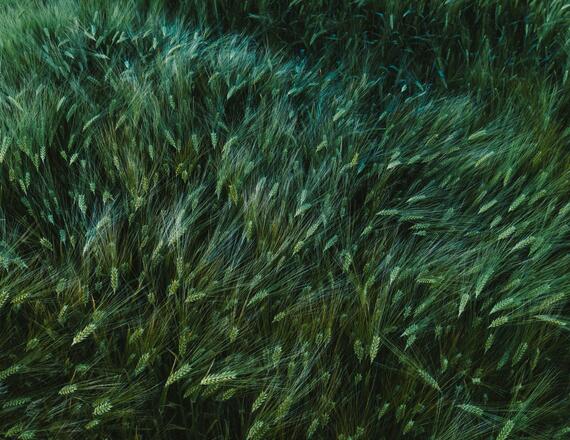 Understanding the Evolving Sustainability Disclosure Landscape: What Business Leaders Need to Know 