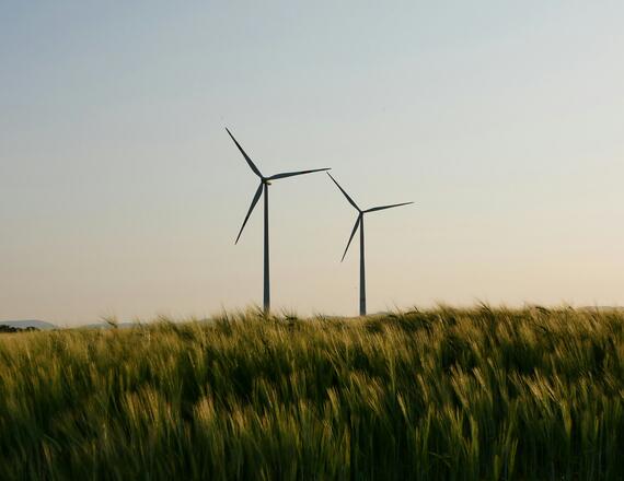 The Next Phase of the Renewable Energy Market: Competing on Economics Rather than Incentives